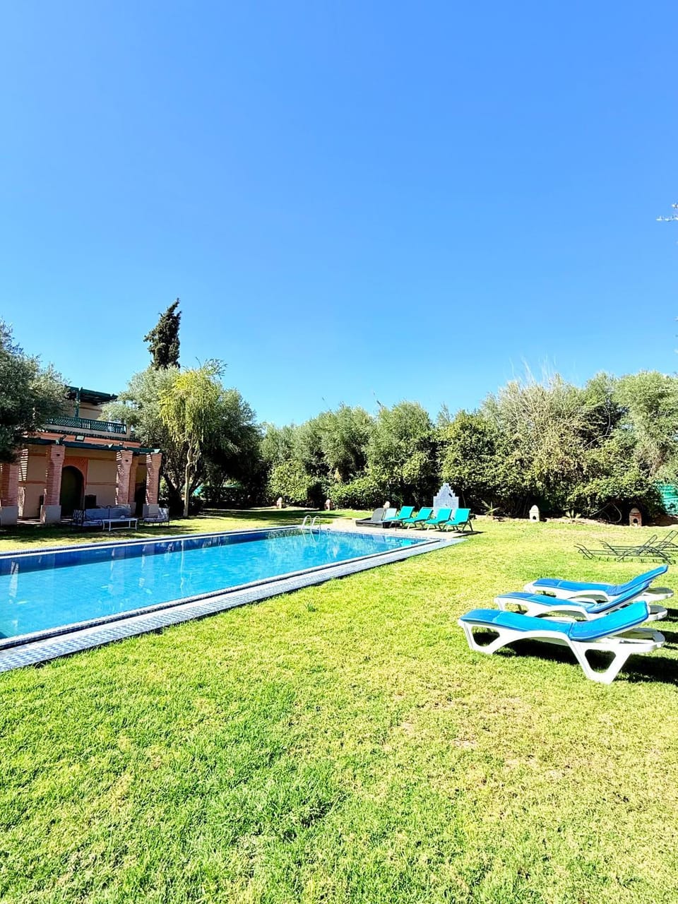 Spring, Natural landscape, Garden, Garden view, Pool view, Swimming pool, sunbed