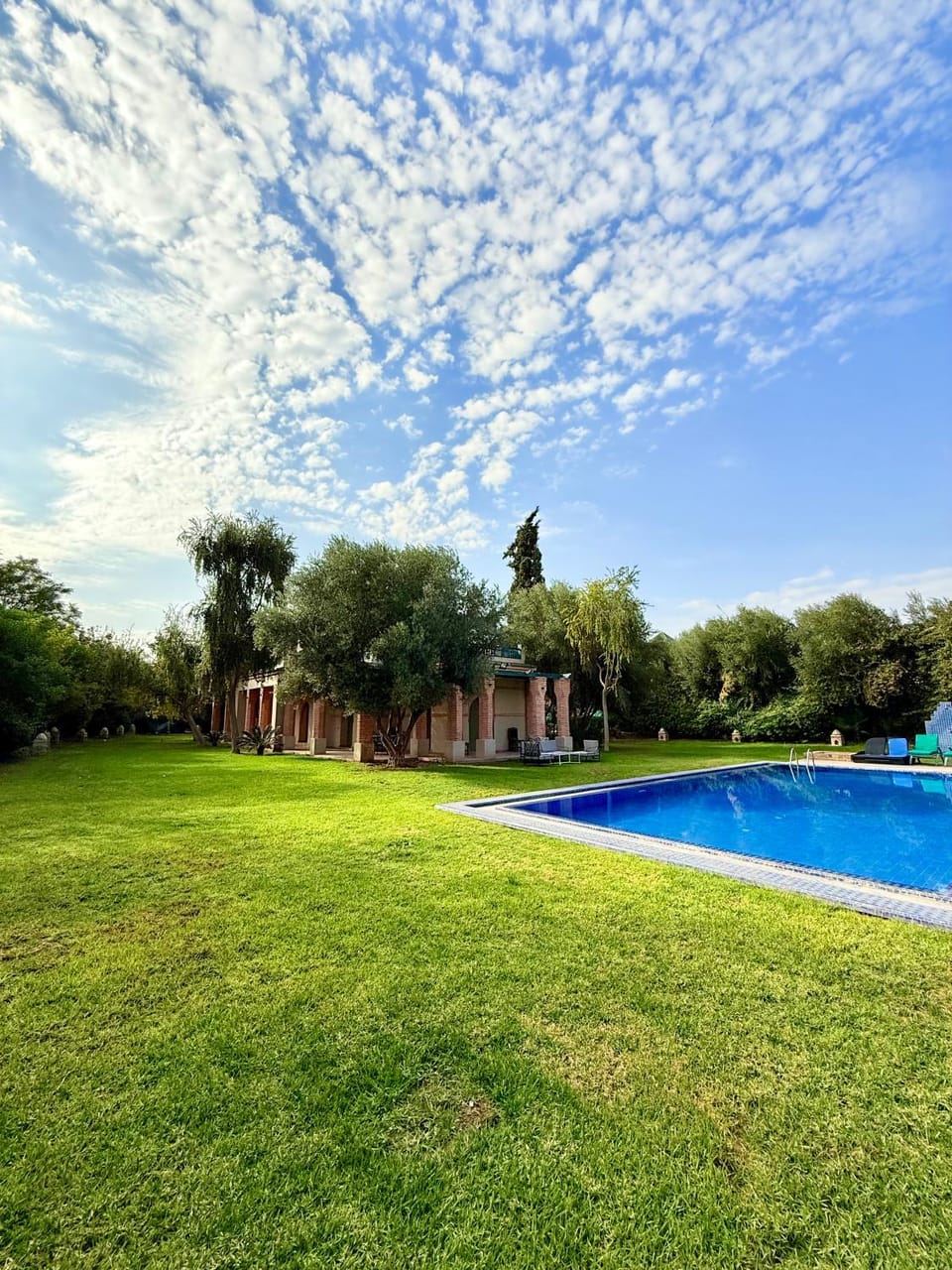 Spring, Day, Natural landscape, Garden, Garden view, Pool view, Swimming pool