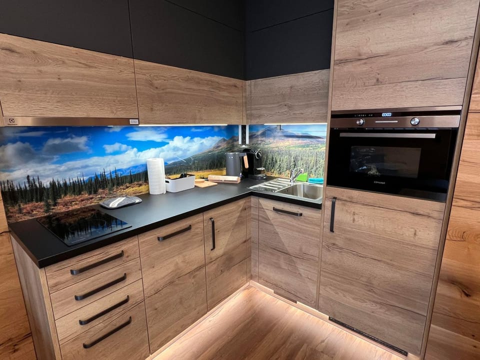 Kitchen or kitchenette, kitchen
