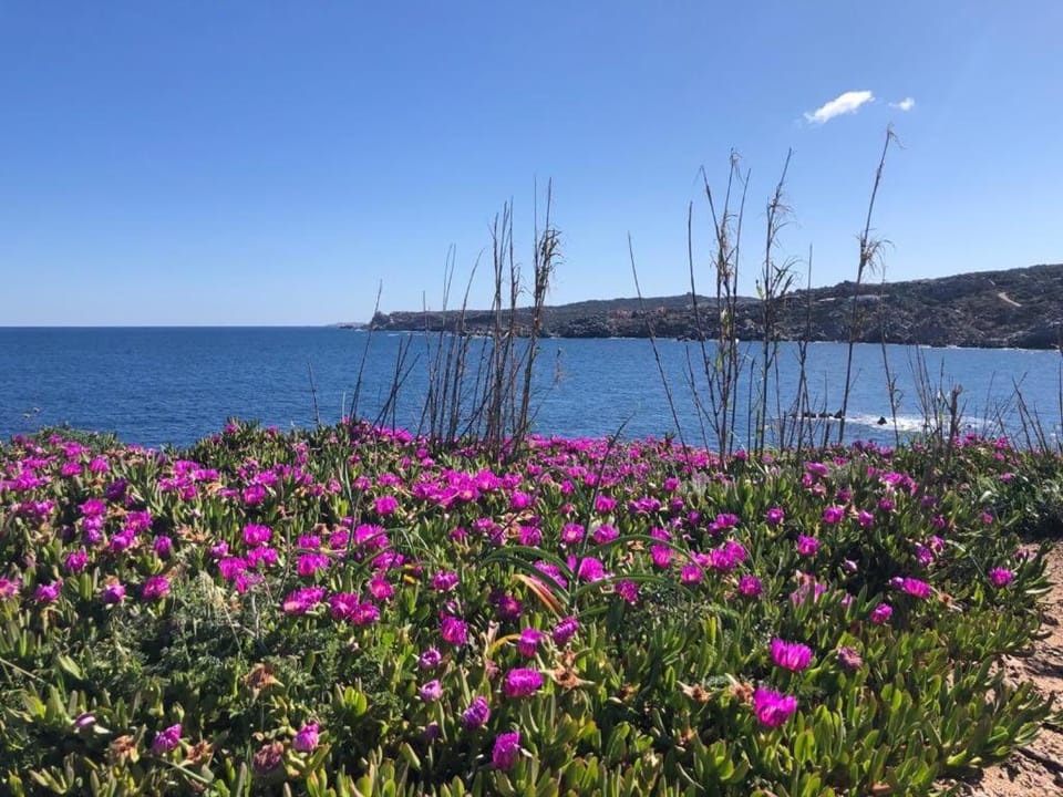 Relaxing Cristal Blu 1Bedroom Apartment B5 sleeps5 Apartment in Santa Teresa Gallura