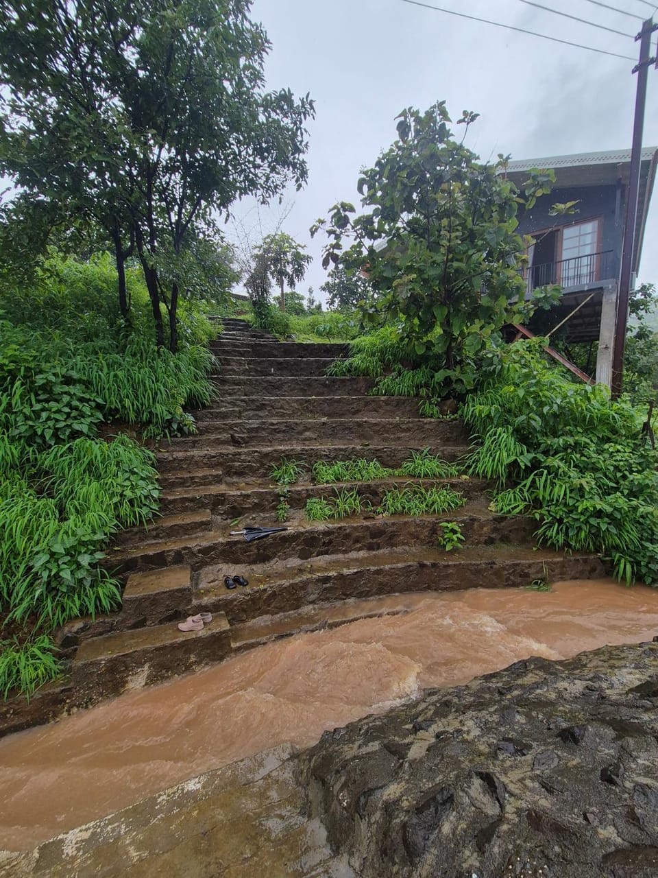 Lake view, Lake view