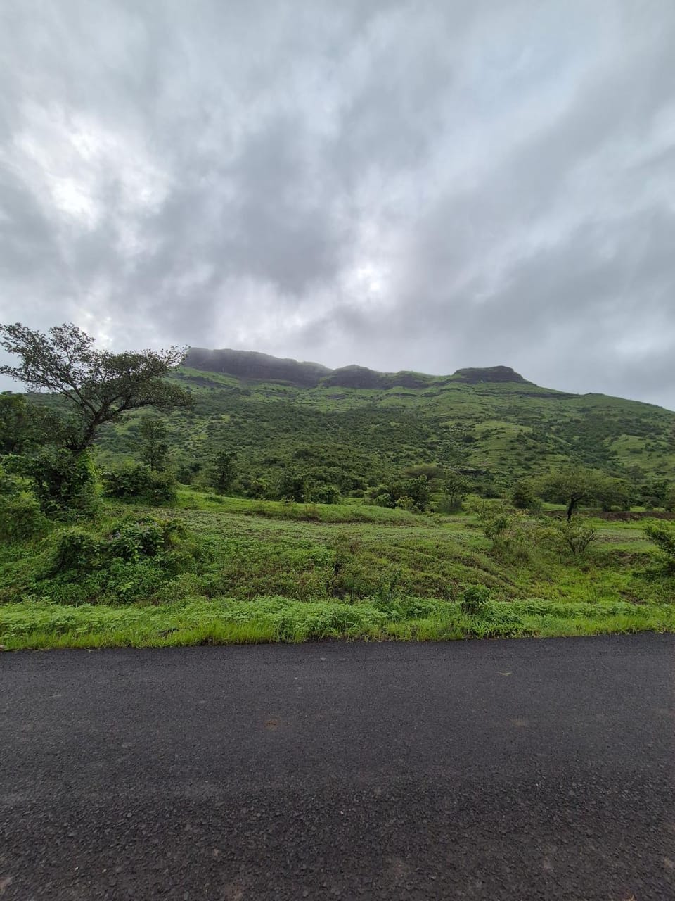 Mountain view