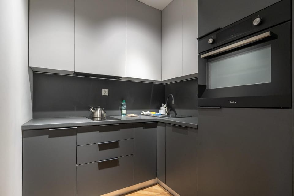 Kitchen or kitchenette, dishwasher, stove