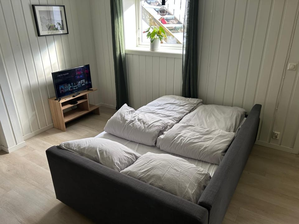 Bright and nice downtown apartment Apartment in Lillehammer