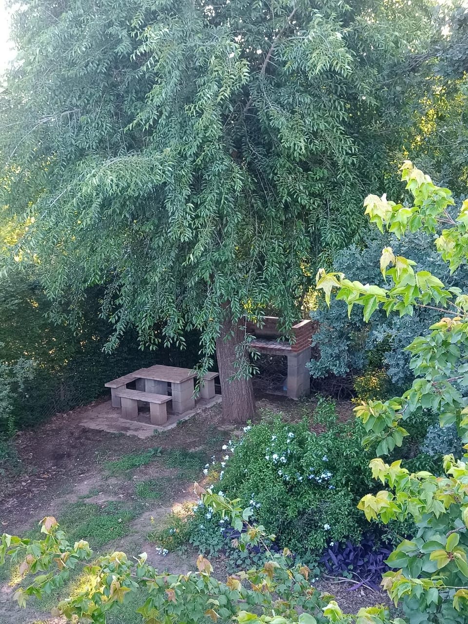 Day, Natural landscape, Garden, Garden view