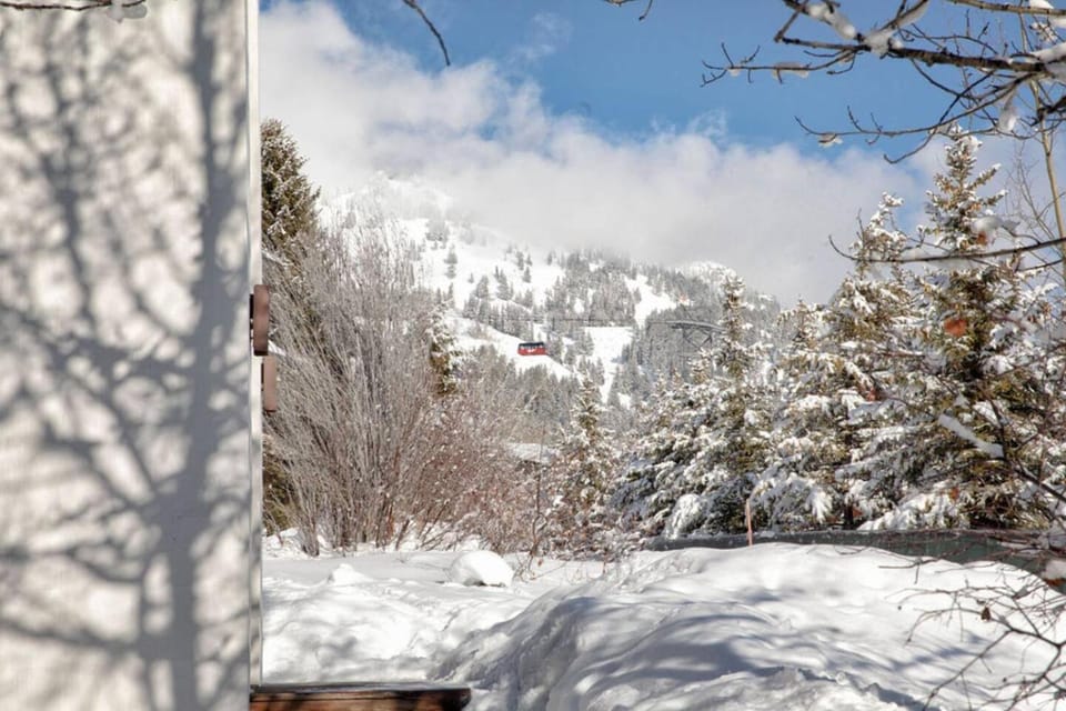 Property building, Day, Natural landscape, Winter, View (from property/room), Mountain view