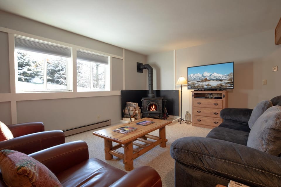Day, Winter, TV and multimedia, Living room, Seating area, Mountain view, fireplace, furniture, heating