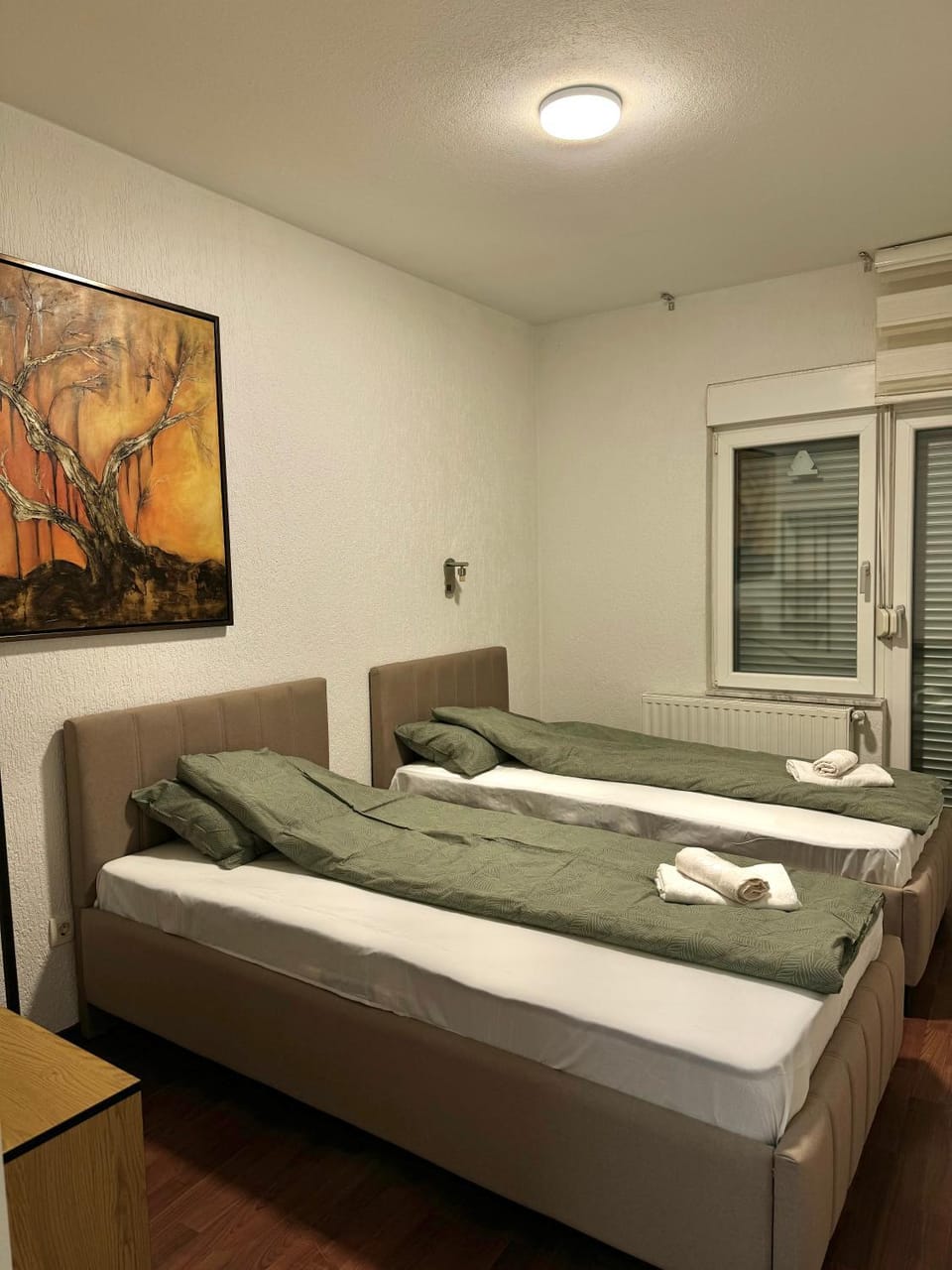 Maison De Rozi Apartment Apartment in Serbia