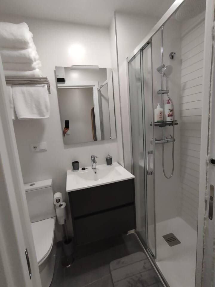 Ponte do Burgo Primero Apartment in Pontevedra