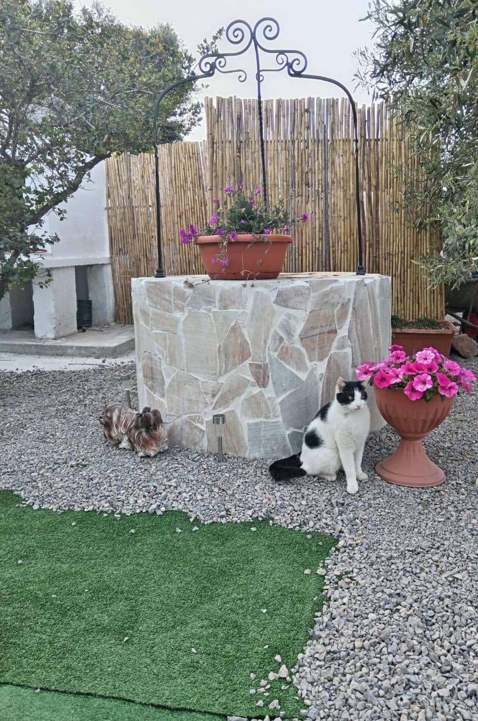 Garden view