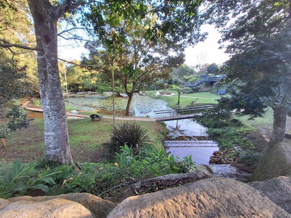 Garden, Lake view