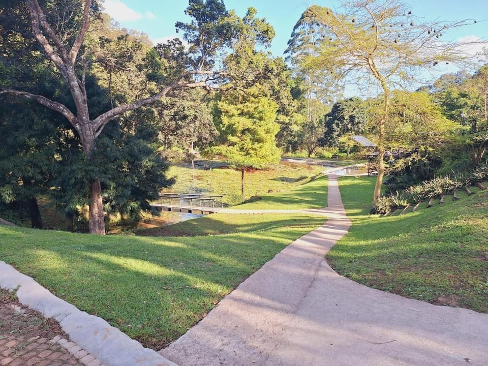 Natural landscape, Garden view