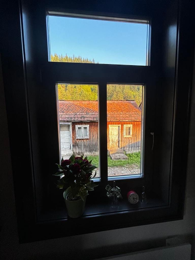 Garden view, Inner courtyard view