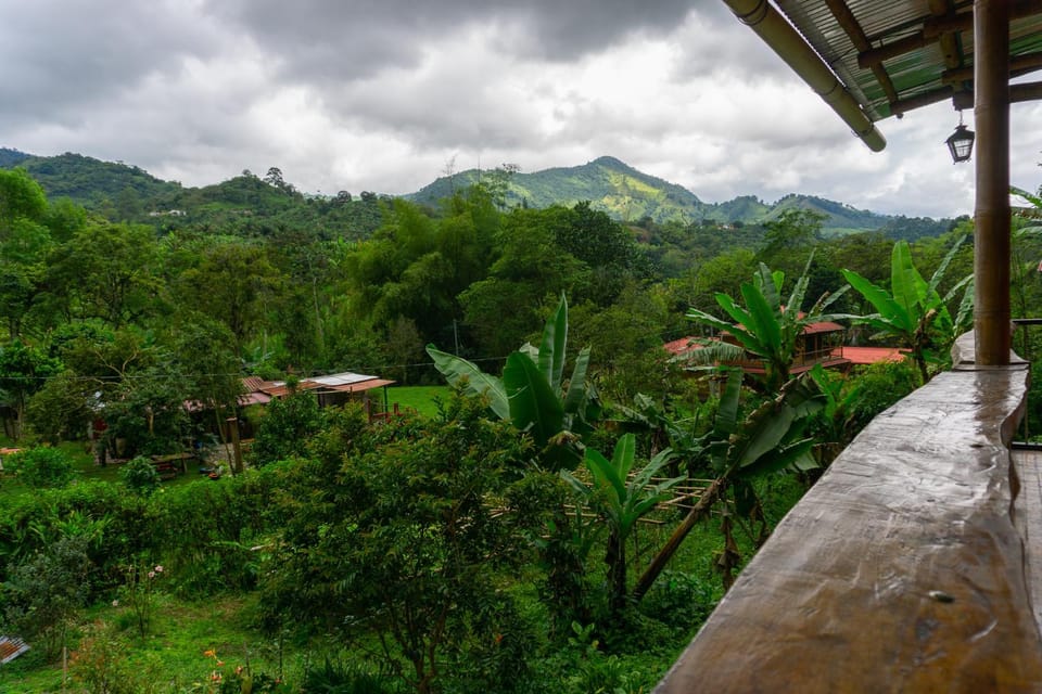 View (from property/room)