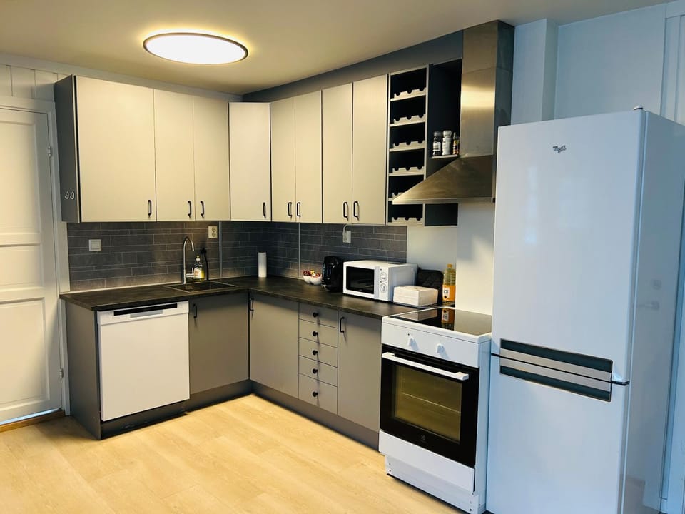 Kitchen or kitchenette, dishwasher, minibar, oven, pet friendly, stove, toaster