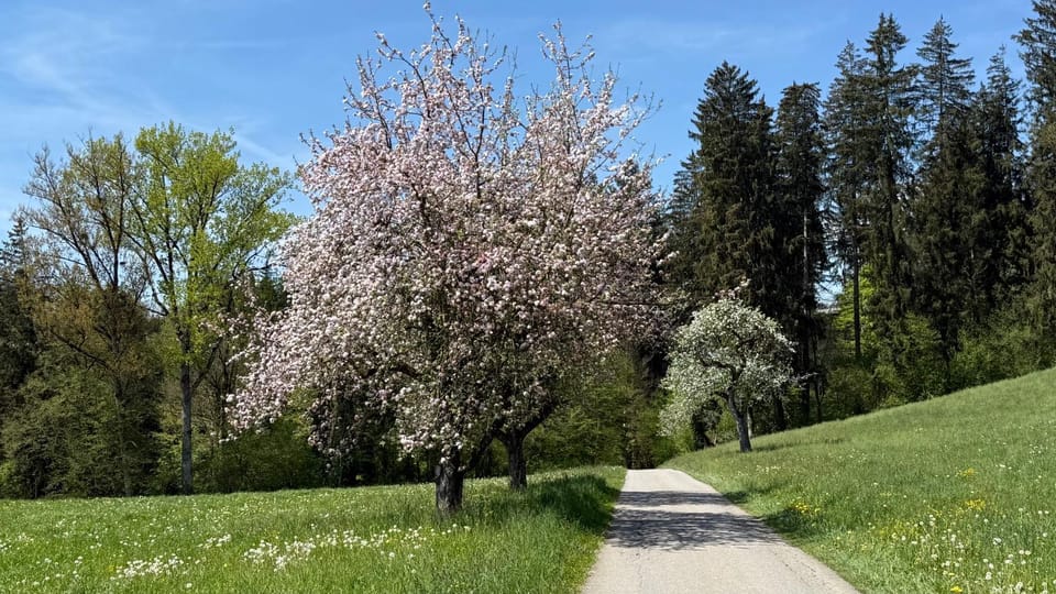 Natural landscape, Activities, Activities, Hiking