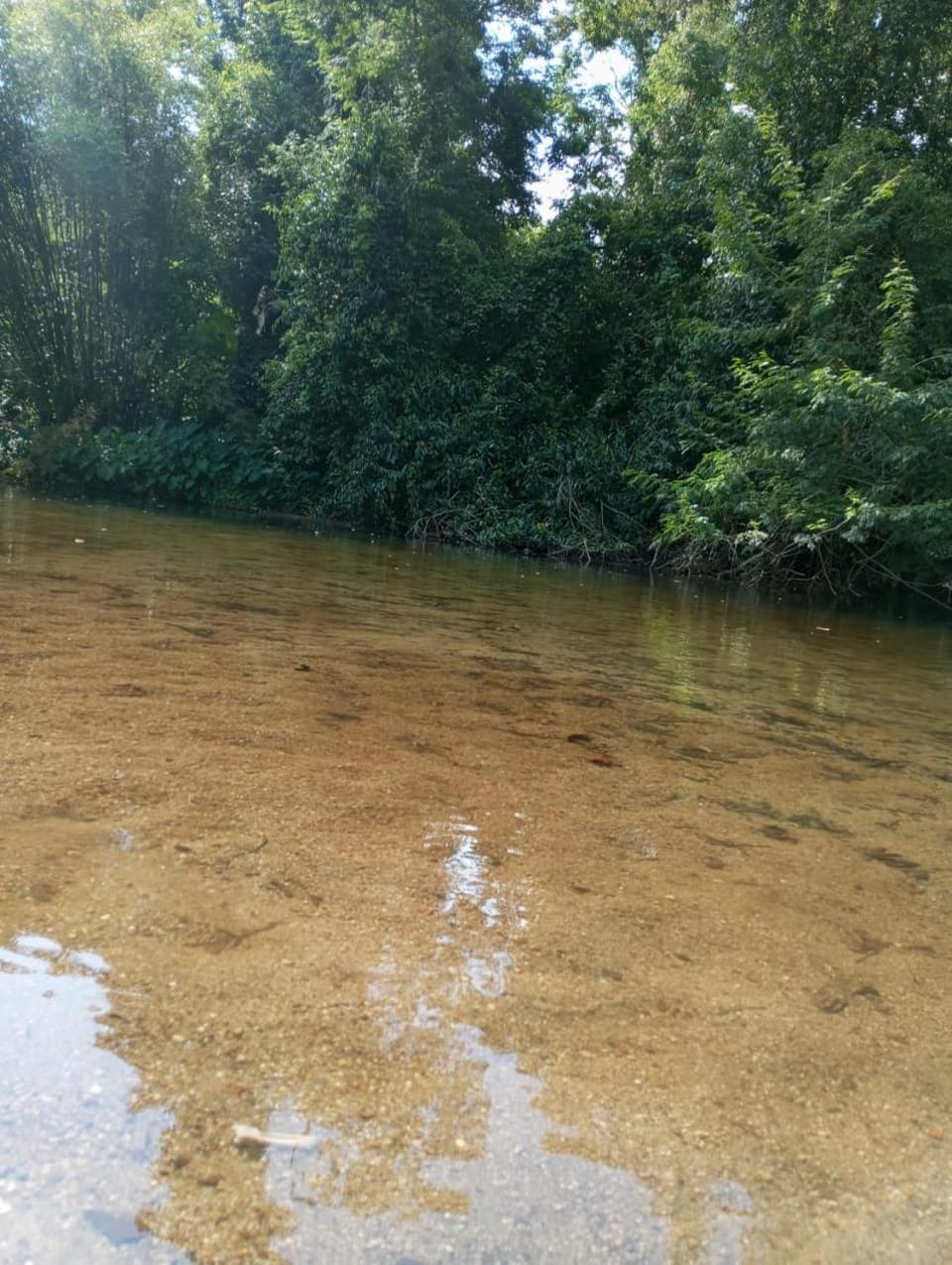 Casa Refúgio da Cachoeira House in Angra dos Reis