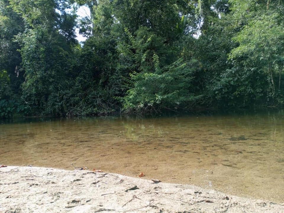 Casa Refúgio da Cachoeira House in Angra dos Reis