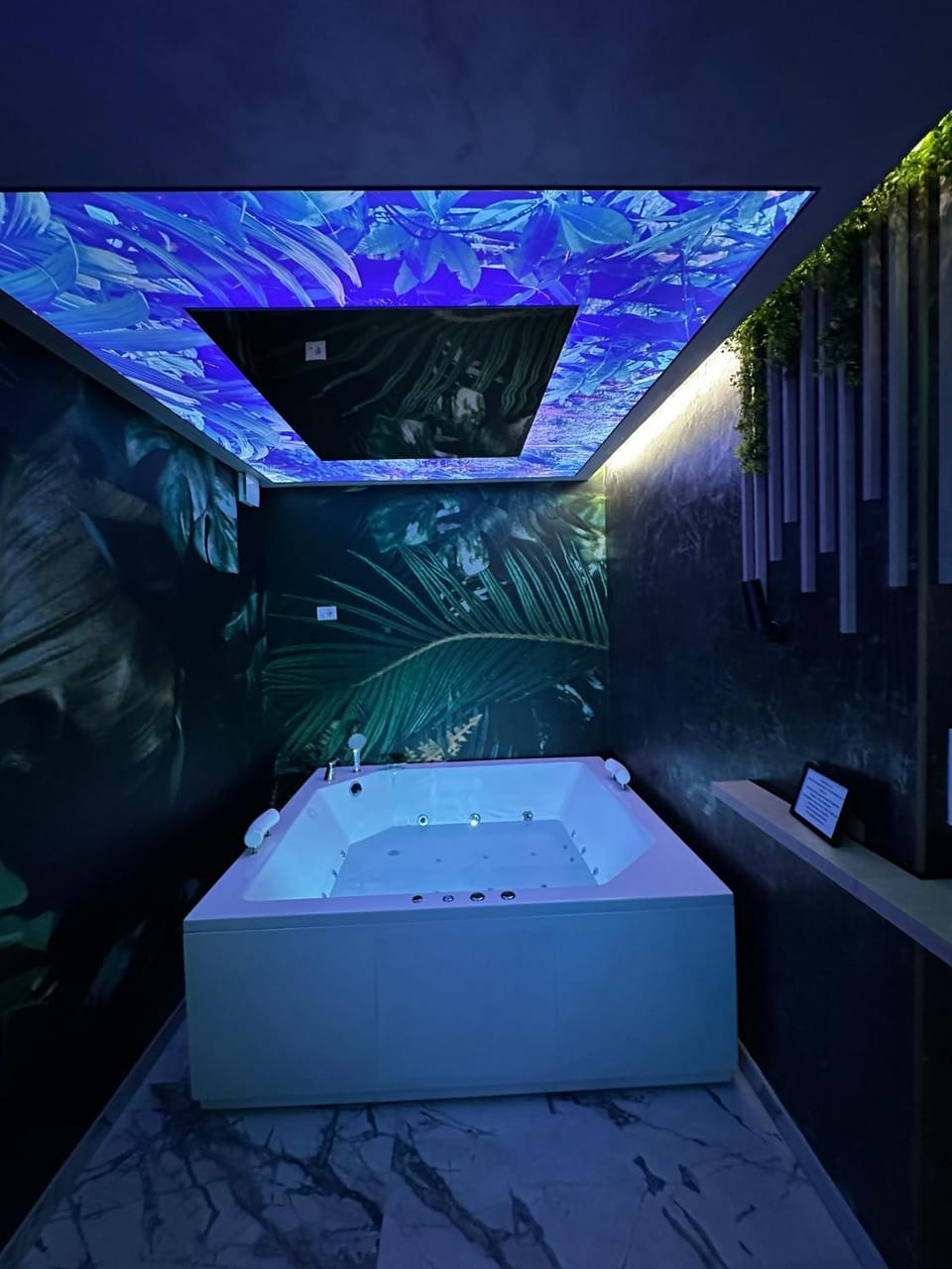 Hot Tub, Spa and wellness centre/facilities