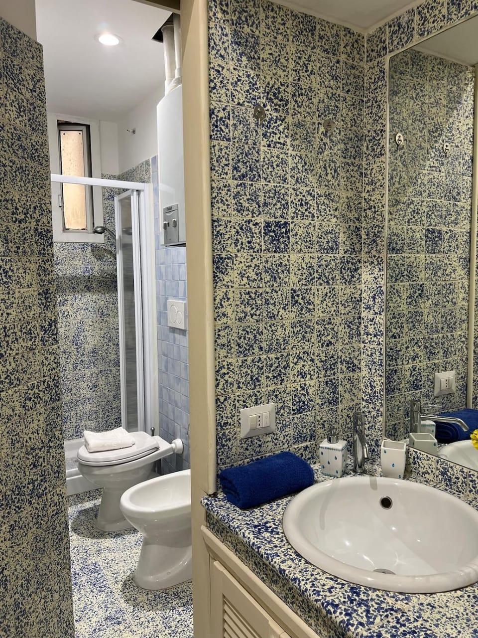 Shower, Toilet, Bathroom, bidet