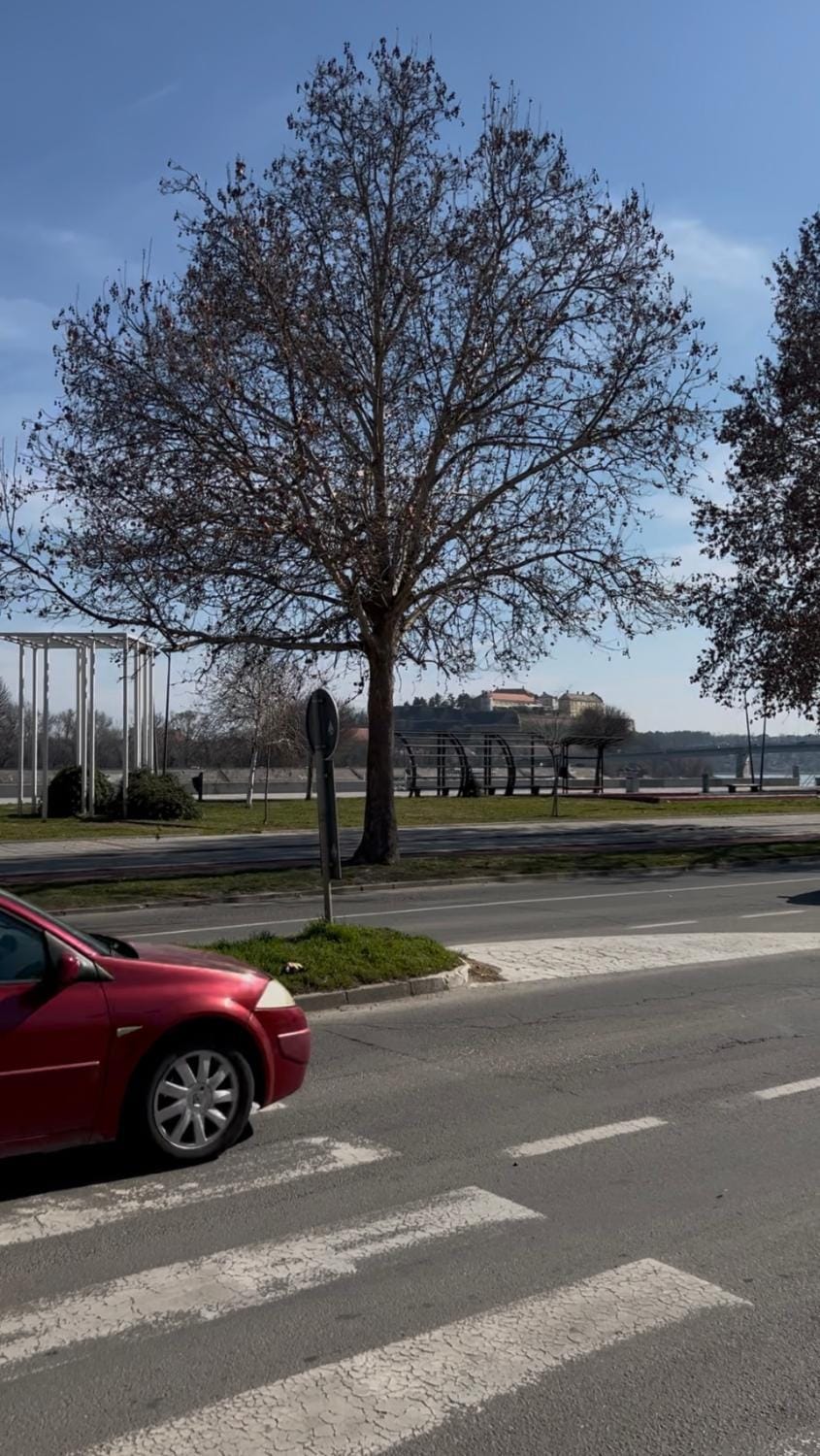 Nearby landmark, Neighbourhood