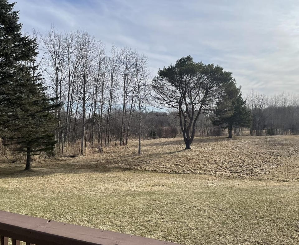 Rifle River Lodge House in Michigan
