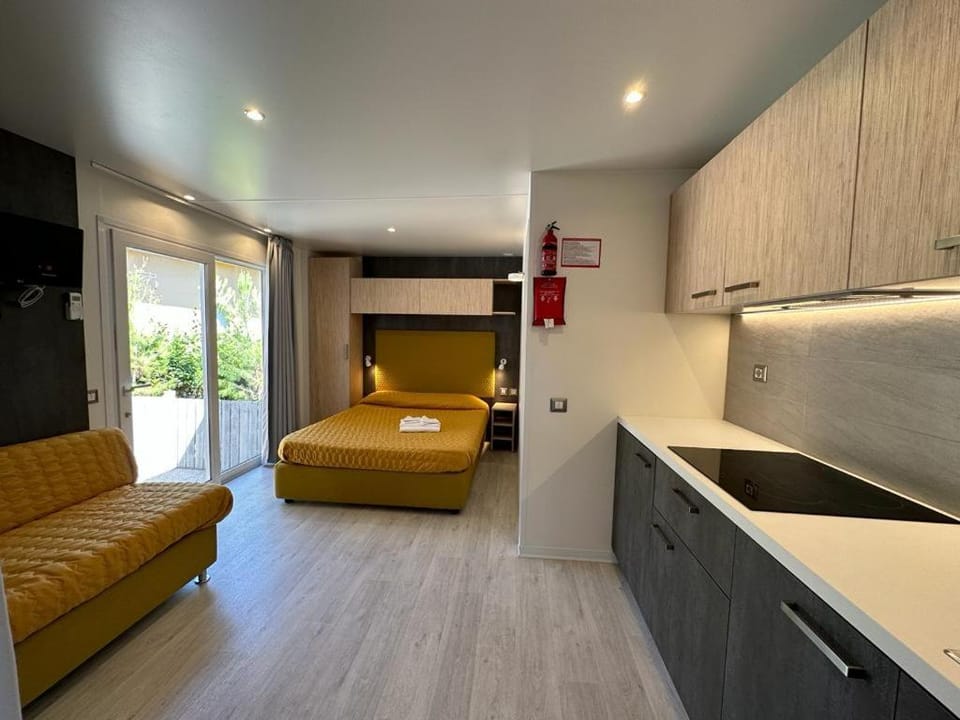 Bed, Kitchen or kitchenette, Living room, Bedroom