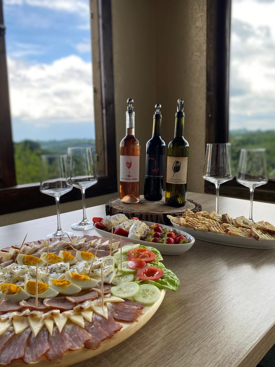 Vino & Vista Villa in Vojvodina