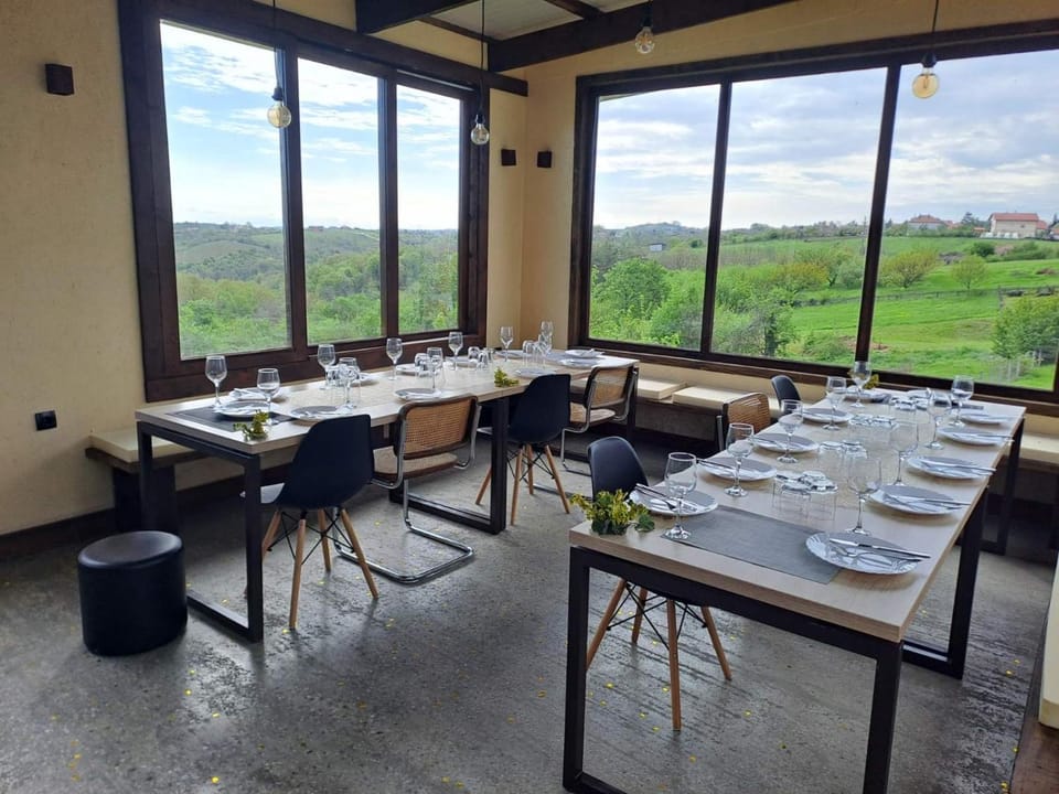 Vino & Vista Villa in Vojvodina