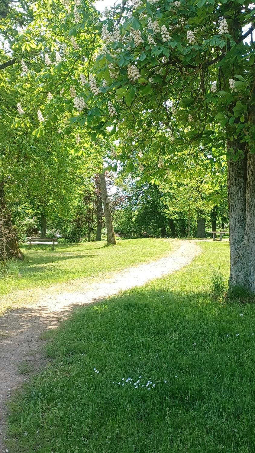 Spring, Natural landscape