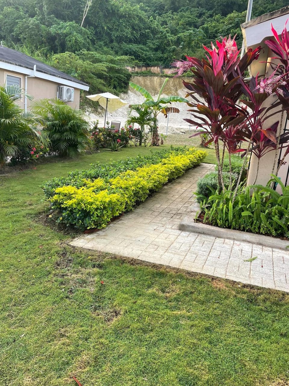 Symone Palms Retreat Apartment in Montego Bay