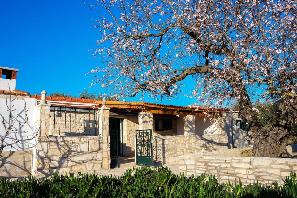 Location, children, Family