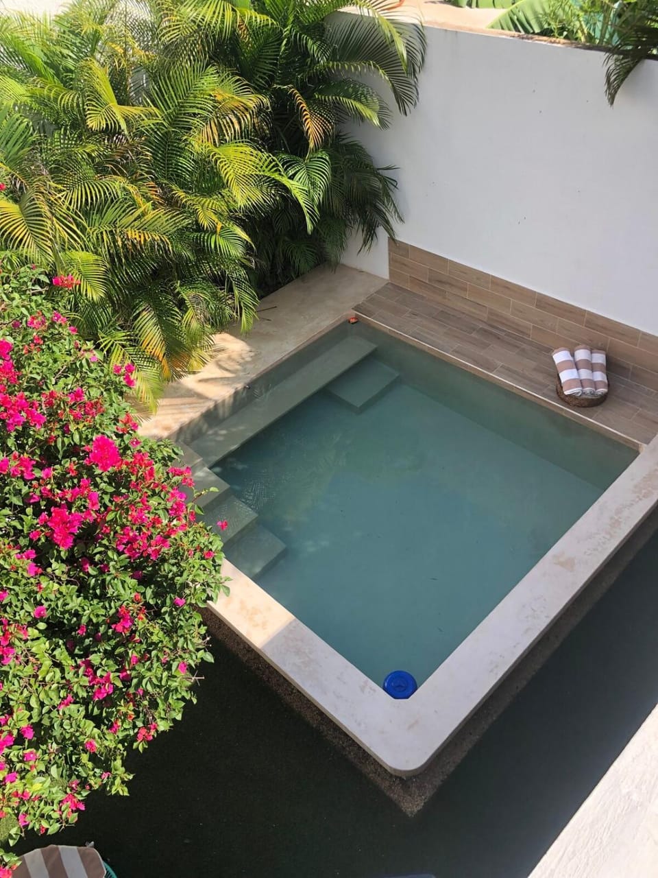 Garden, Garden view, Pool view, Swimming pool