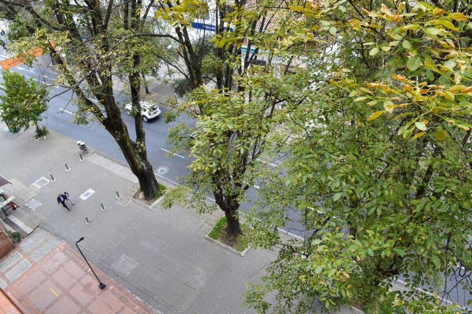 Natural landscape, Street view