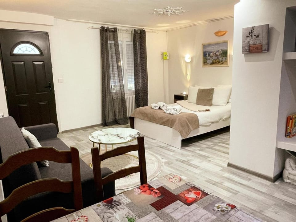 Studio au cœur d'Amboise pour 2 pers, vue sur château - FR-1-381-609 Apartment in Amboise