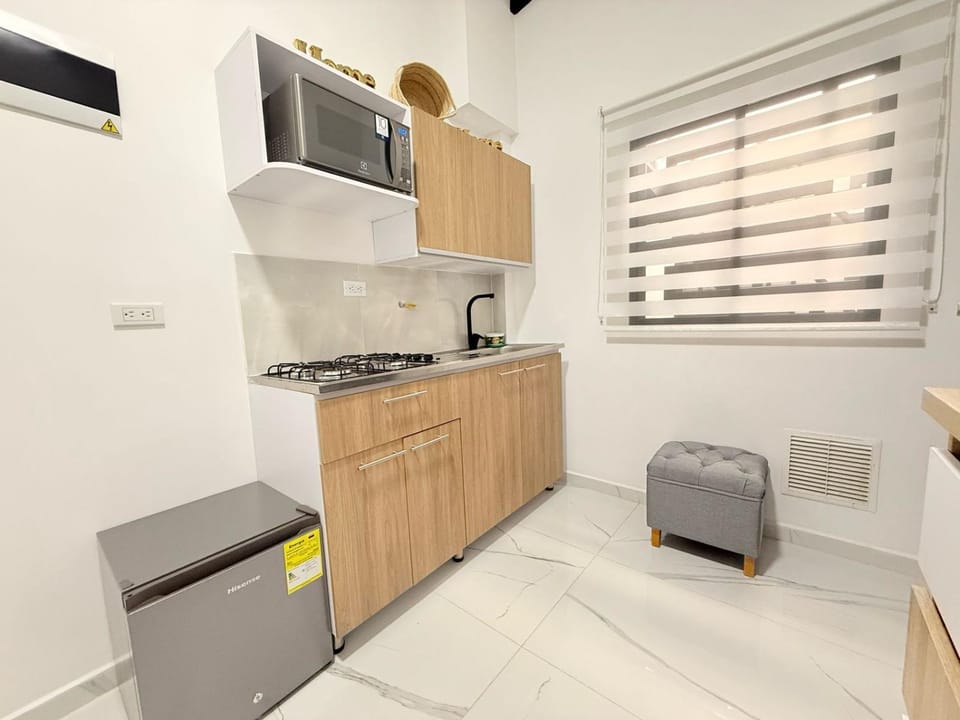 Kitchen or kitchenette, minibar, oven, stove