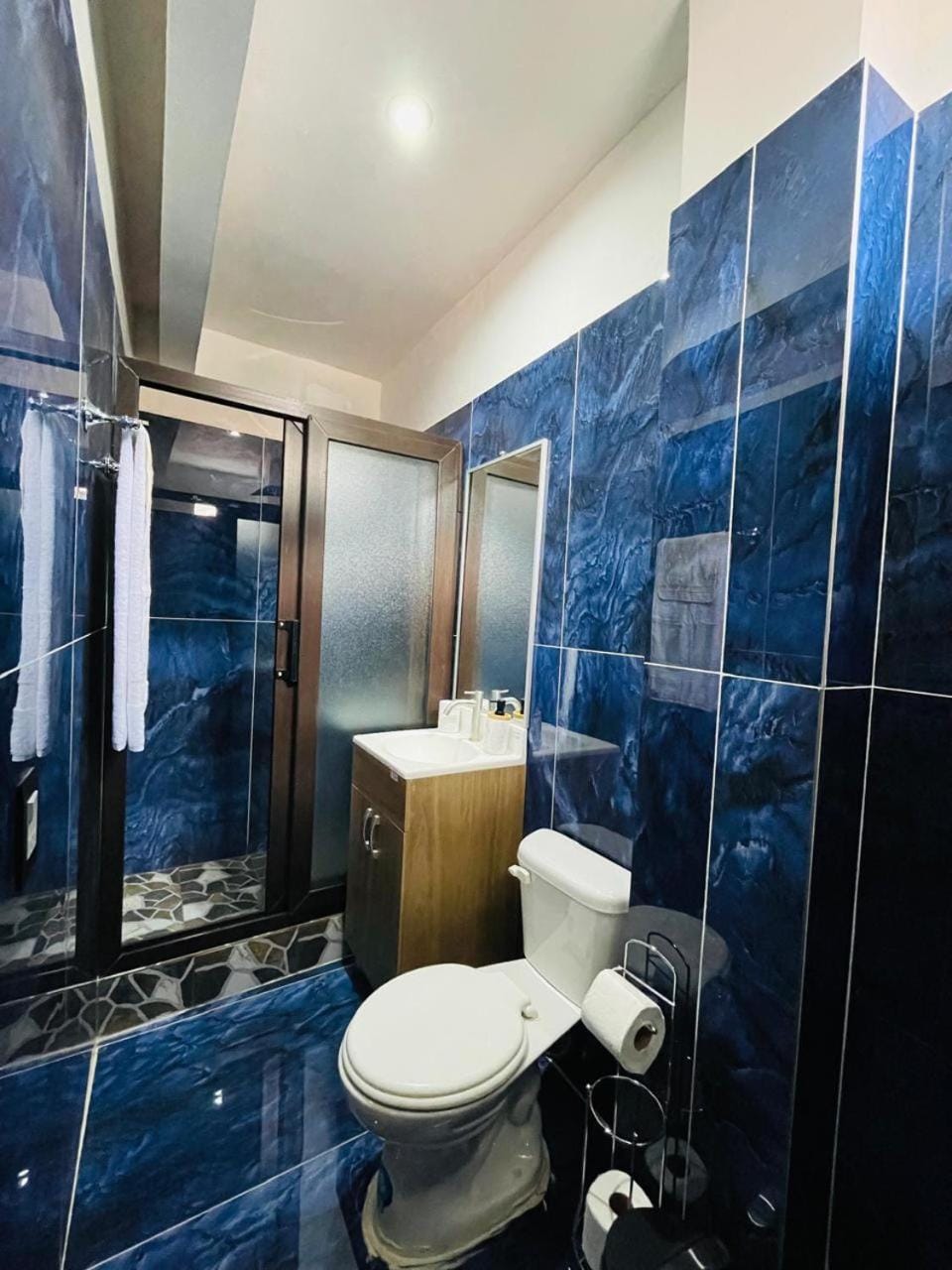 Shower, Toilet, Bathroom