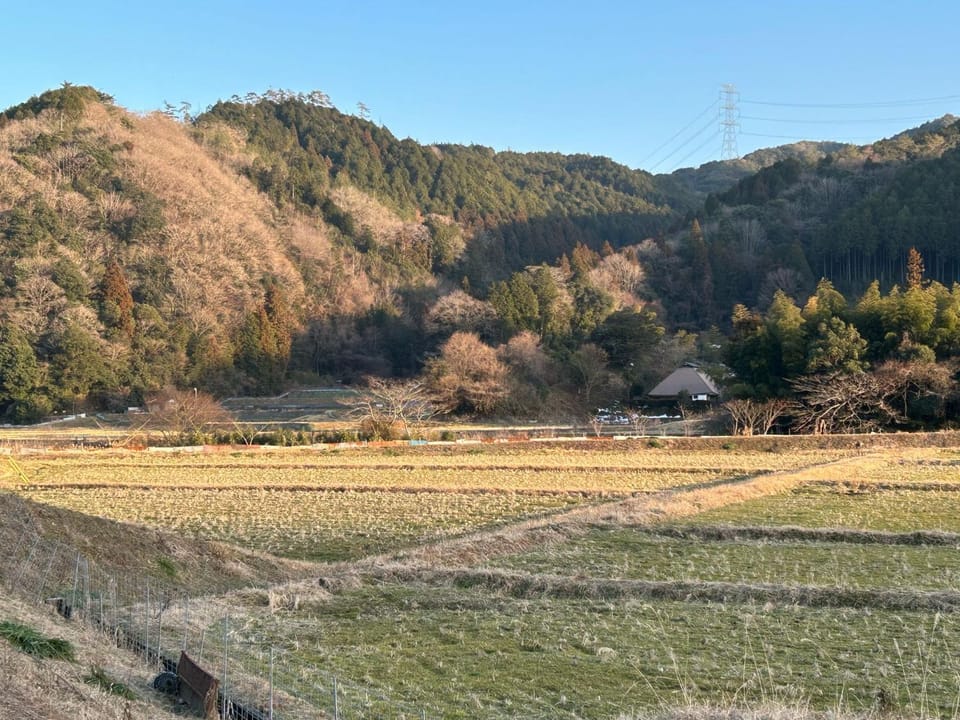 View (from property/room)