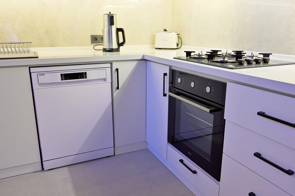 Kitchen or kitchenette, dishwasher, oven, stove, toaster