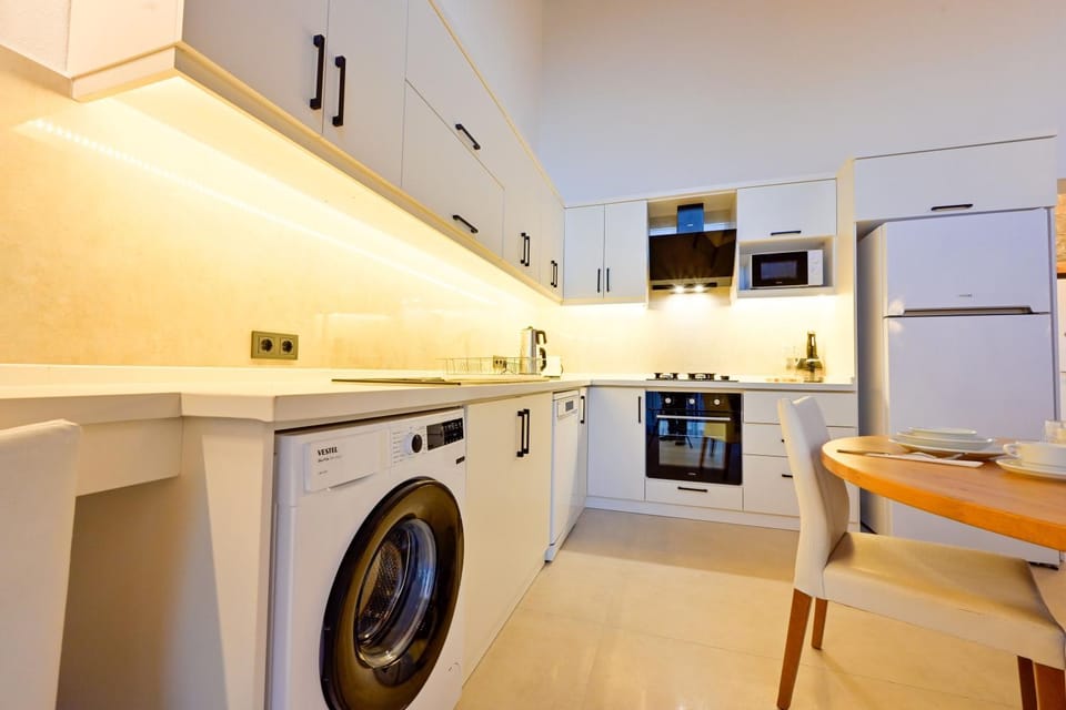 Kitchen or kitchenette, oven, stove, washing machine