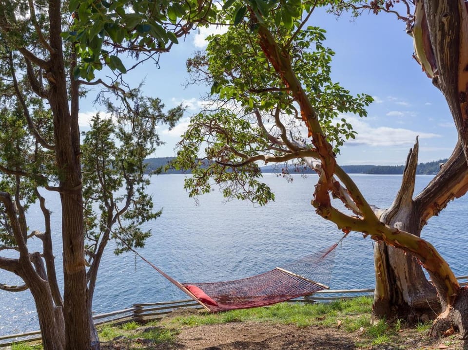 Natural landscape, Seating area, Sea view