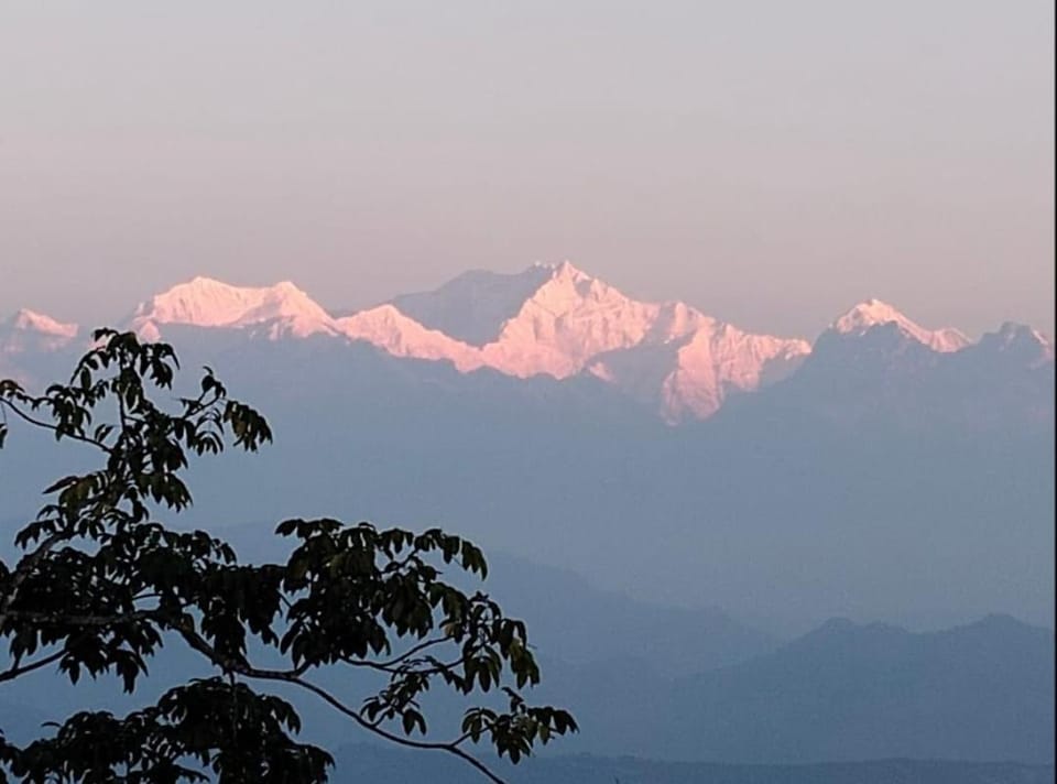 Day, Mountain view