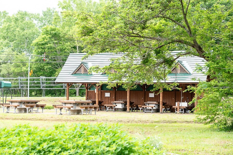 Property building, Spring, Day, Natural landscape, BBQ facilities, Garden