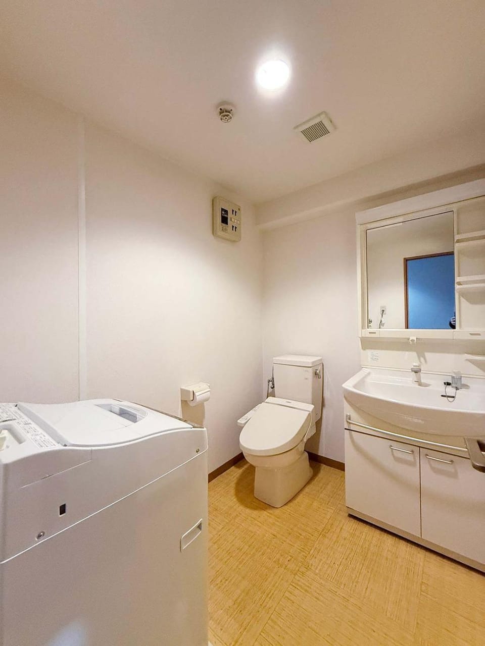 Toilet, Bathroom, washing machine