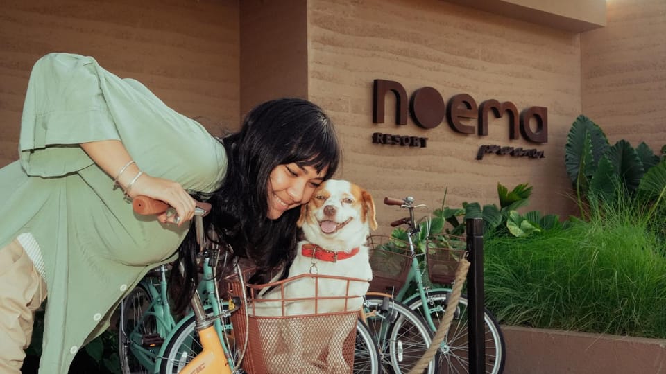 pet friendly