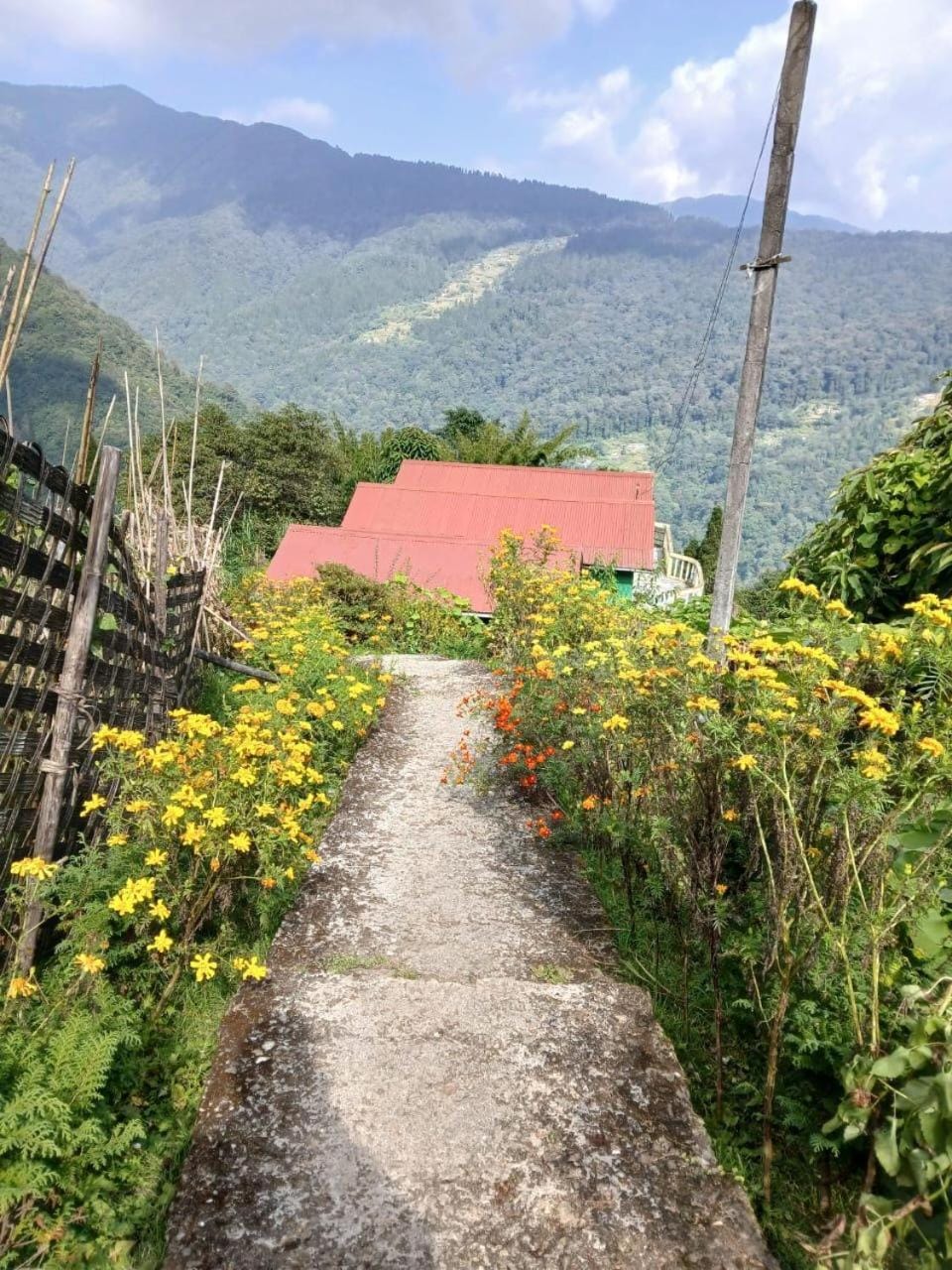 Natural landscape