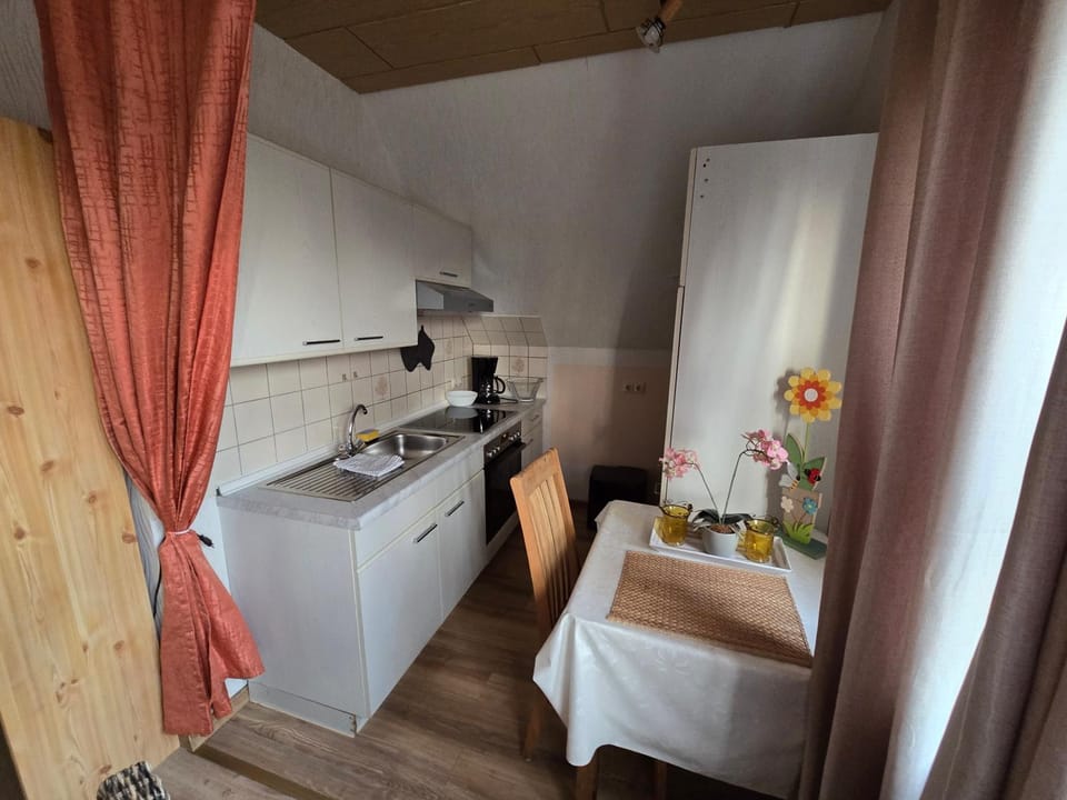 Kitchen or kitchenette, Dining area, oven, stove