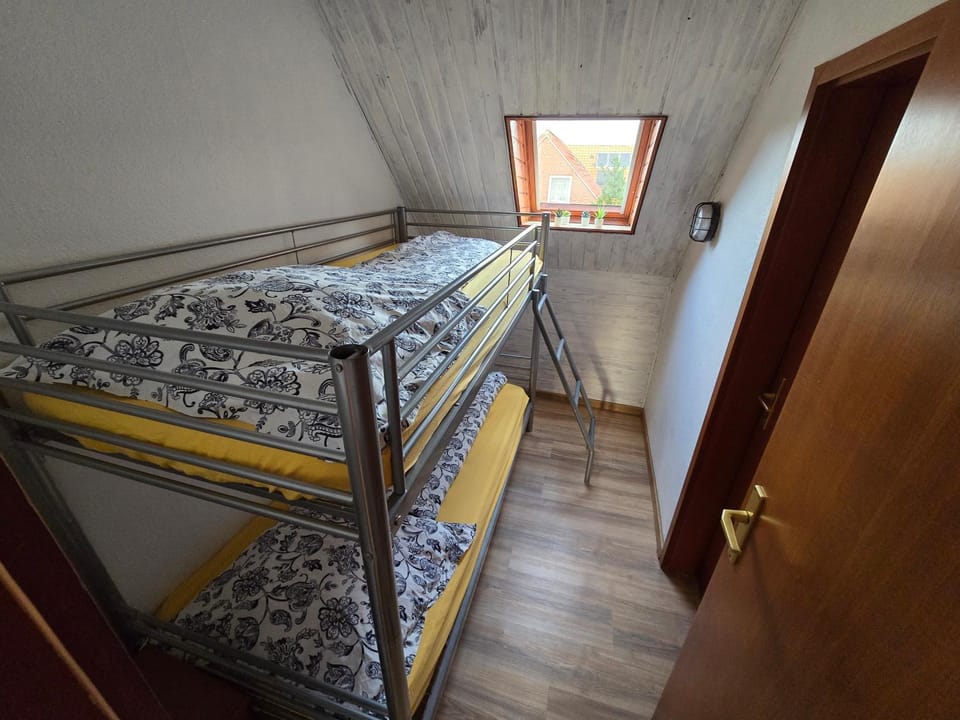 Bed, Photo of the whole room, Bedroom, bunk bed