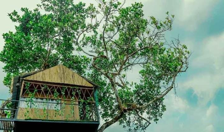 ILA Homestay Apartment in Kerala