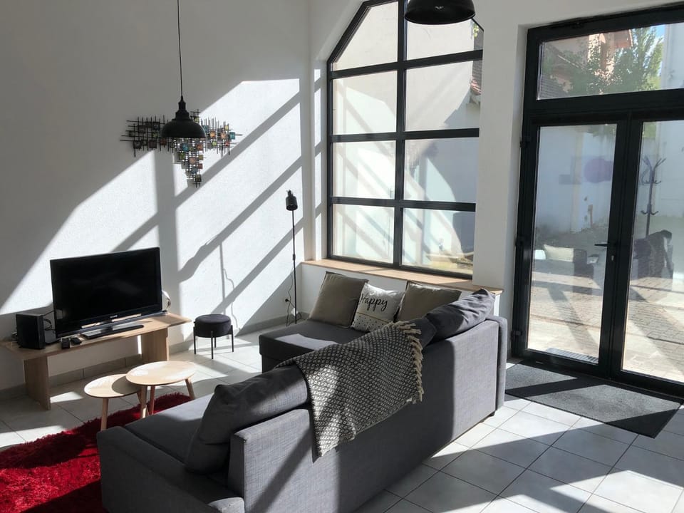 Loft 2 personnes Climatisé parking privé jardin House in Grand Est